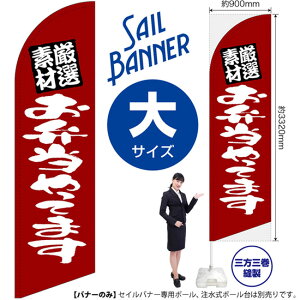 �Z�C���o�i�[ �i��T�C�Y�j ���I�f�� ���ٓ�����Ă܂� �Z�� SB-850 �i�󒍐��Y�i�E�L�����Z���s�j