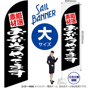 ZCoi[ iTCYj If ٓĂ܂  SB-859 i󒍐YiELZsj