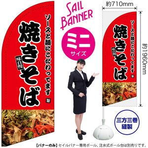 ZCoi[ i~jTCYj ̂ڂ Ă iԁj SB-132 i󒍐YiELZsj