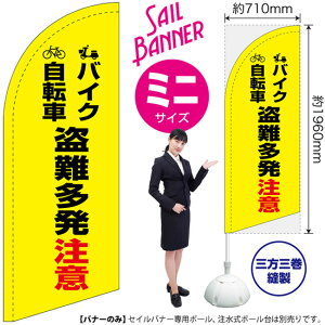 ZCoi[ i~jTCYj ̂ڂ oCN]  ij SB-2100 i󒍐YiELZsj