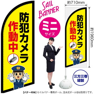 ZCoi[ i~jTCYj hƃJ쓮 ix@CXgj SB-2976 Ď x i󒍐YiELZsj