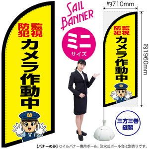 ZCoi[ i~jTCYj Ďh J쓮 ix@CXgj SB-2979 Ď x i󒍐YiELZsj