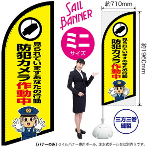 ZCoi[ i~jTCYj hƃJ쓮 ix@CXgj SB-2982 Ď x i󒍐YiELZsj