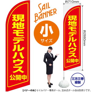 現地モデルハウス公開中 セイルバナー(小サイズ) SB-1271 不動産 住宅(受注生産品・キャンセル不可)