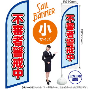 sRҌxig j ZCoi[iTCYj SB-1796 h xi󒍐YiELZsj