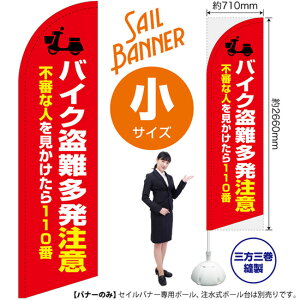 ZCoi[ iTCYj oCN iԁj SB-1928 h x i󒍐YiELZsj