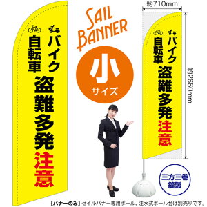 ZCoi[ iTCYj oCN]  ij SB-2099 i󒍐YiELZsj