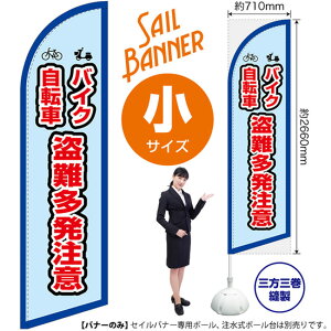 ZCoi[ iTCYj oCN]  ig j SB-2105 i󒍐YiELZsj