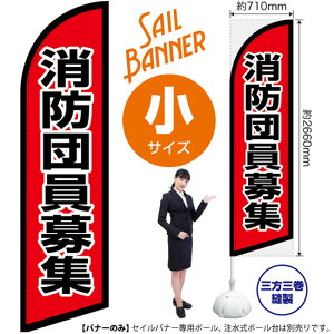 hcW ZCoi[iTCYj SB-2672 lW hi󒍐YiELZsj