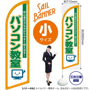 ZCoi[ iTCYj p\R SB-290 i󒍐YiELZsj