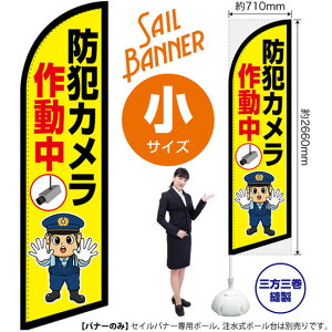 ZCoi[ iTCYj hƃJ쓮 ix@CXgj SB-2975 Ď x i󒍐YiELZsj