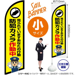 ZCoi[ iTCYj hƃJ쓮 ix@CXgj SB-2981 Ď x i󒍐YiELZsj