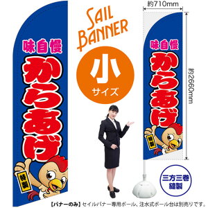 ̂ڂ 炠iLN^[j  ZCoi[iTCYj SB-698i󒍐YiELZsj