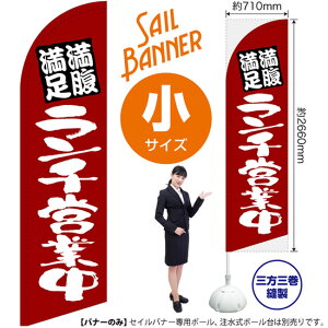 ̂ڂ `cƒ Z ZCoi[iTCYj SB-833i󒍐YiELZsj