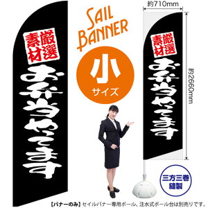 ZCoi[ iTCYj If ٓĂ܂  SB-860 i󒍐YiELZsj