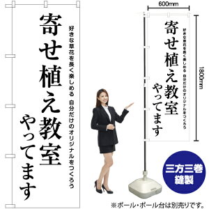 񂹐AĂ܂ ̂ڂ SKE-1141i󒍐YiELZsj