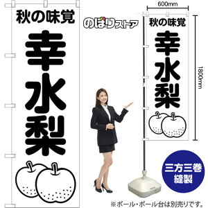̂ڂ K H̖o SKE-1506 i󒍐YiELZsj