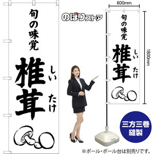 ̂ڂ ő {̖o SKE-1537 i󒍐YiELZsj