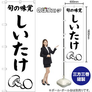 ̂ڂ  {̖o SKE-1538 i󒍐YiELZsj