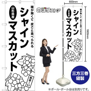 ̂ڂ R`YVC}XJbg 킪 炲ƐHׂ SKE-1568 i󒍐YiELZsj