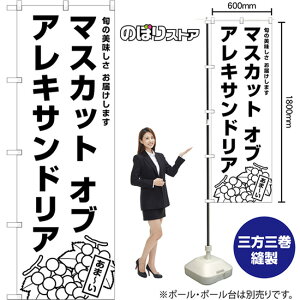 ̂ڂ }XJbgIuALThA {̔ ͂܂ SKE-1574 i󒍐YiELZsj