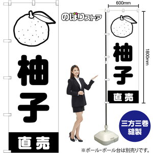 ̂ڂ Mq  SKE-1582 i󒍐YiELZsj