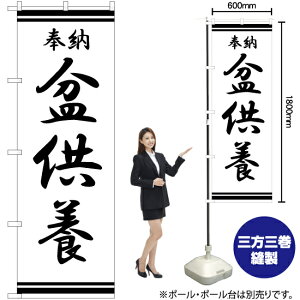 ~{ ̂ڂ SKE-382i󒍐YiELZsj