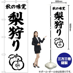 H̖o  ̂ڂ SKE-479i󒍐YiELZsj