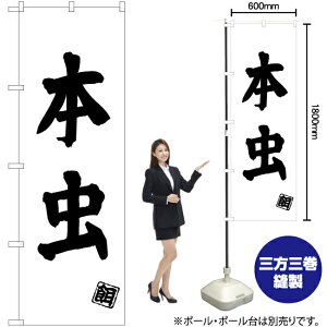 { ̂ڂ SKE-499i󒍐YiELZsj