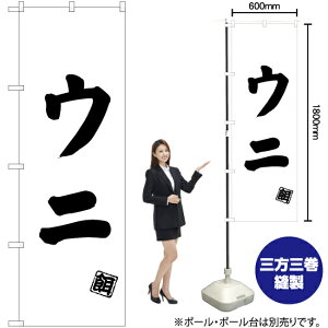 Ej ̂ڂ SKE-500i󒍐YiELZsj