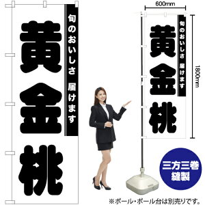  ̂ڂ SKE-872i󒍐YiELZsj