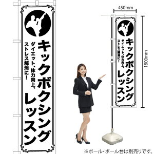 LbN{NVObX X}[ĝڂ SKES-1089i󒍐YiELZsj