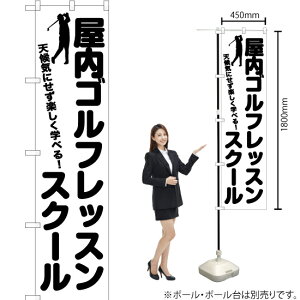 StbXXN[ X}[ĝڂ SKES-1119i󒍐YiELZsj