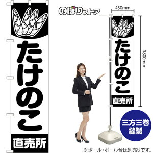 X}[ĝڂ ̂  ij SKES-1393 i󒍐YiELZsj