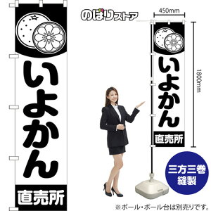 X}[ĝڂ 悩  ij SKES-1477 i󒍐YiELZsj