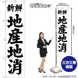 X}[ĝڂ nYn VN ij SKES-1494 i󒍐YiELZsj