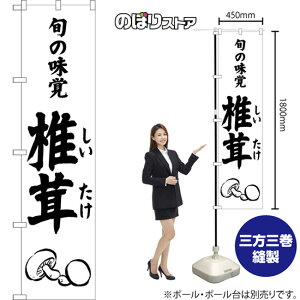 X}[ĝڂ ő {̖o ij SKES-1537 i󒍐YiELZsj