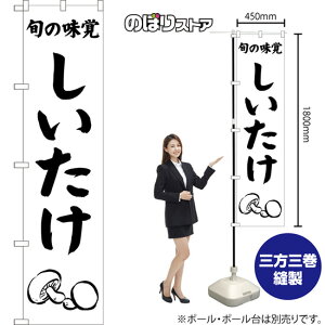 X}[ĝڂ  {̖o ij SKES-1538 i󒍐YiELZsj