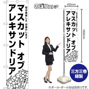 X}[ĝڂ }XJbgIuALThA {̔ ͂܂ ij SKES-1574 i󒍐YiELZsj