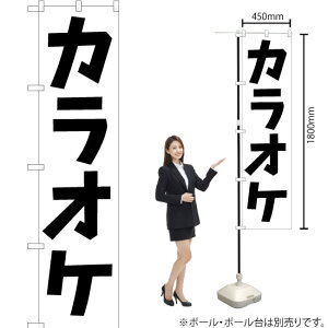 JIP X}[ĝڂ SKES-194i󒍐YiELZsj