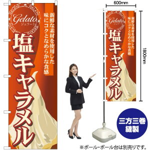 L iWF[gj ̂ڂ SNB-334 i󒍐YiELZsj