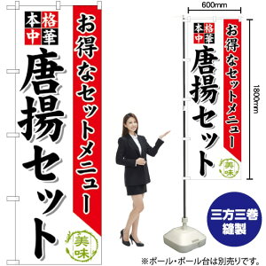 gZbg ̂ڂ SNB-479 i󒍐YiELZsj