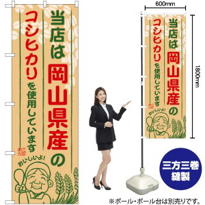 RỸRVqJ ̂ڂ SNB-928 i󒍐YiELZsj