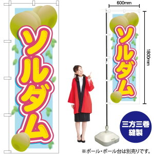 \_ ̂ڂ SNB-1393 i󒍐YiELZsj