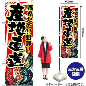 ̂ڂ Yn SNB-1452 i󒍐YiELZsj