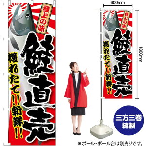  ̂ڂ SNB-1489 i󒍐YiELZsj