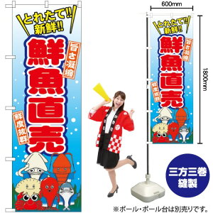 N ̂ڂ SNB-1539 i󒍐YiELZsj