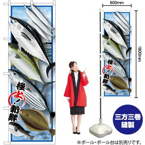 e G ̂ڂ SNB-1546 i󒍐YiELZsj