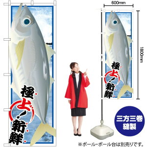 AW G ̂ڂ SNB-1556 i󒍐YiELZsj