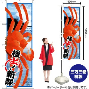 YCKj G ̂ڂ SNB-1559 i󒍐YiELZsj